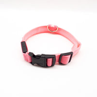 HKM-584723 Rechargeable LED Collar