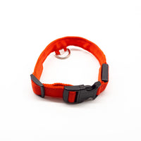 HKM-584723 Rechargeable LED Collar