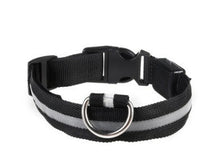 HKM-584723 Rechargeable LED Collar