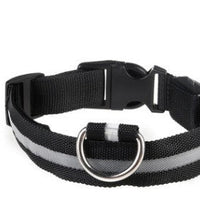 HKM-584723 Rechargeable LED Collar