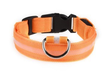 HKM-584723 Rechargeable LED Collar