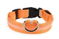 HKM-584723 Rechargeable LED Collar