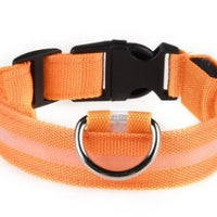 HKM-584723 Rechargeable LED Collar