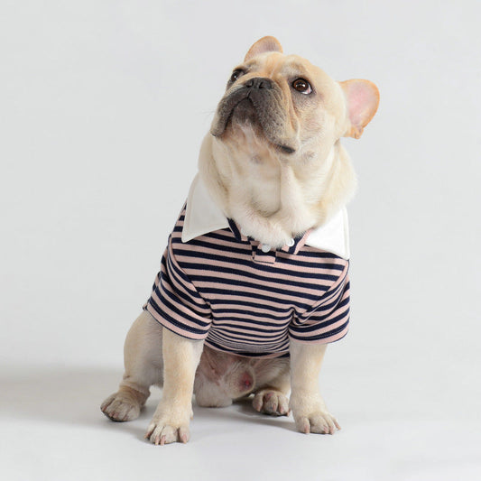 HKM-585427 Cozy Cotton Casual Pet Sweater in Pink and Yellow Stripe Designs