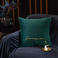 HKM-586387 Light Luxury Velvet Pillowcase 45x45cm with Washing Guidelines