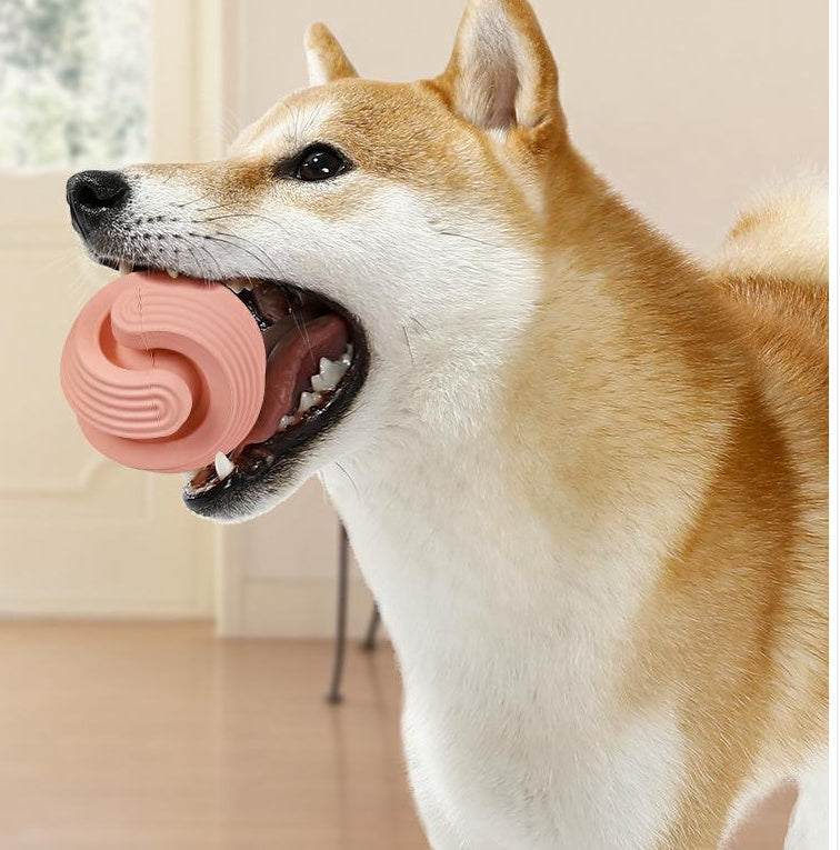 HKM-591379 Rubber Dog Molars Teeth Relief Bouncy Ball