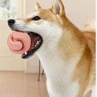 HKM-591379 Rubber Dog Molars Teeth Relief Bouncy Ball