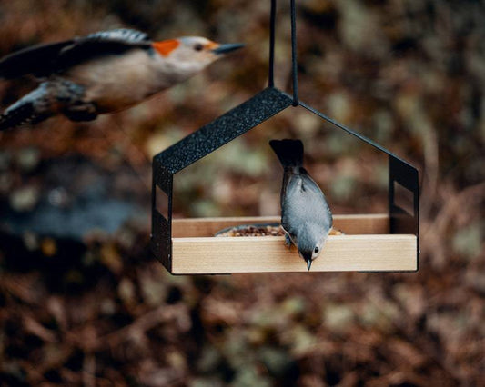 HKM-595475 Stylish Black Metal Hanging Bird Feeder for Outdoor Garden Decoration