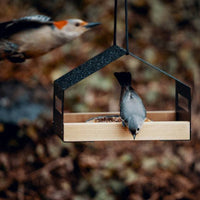 HKM-595475 Stylish Black Metal Hanging Bird Feeder for Outdoor Garden Decoration