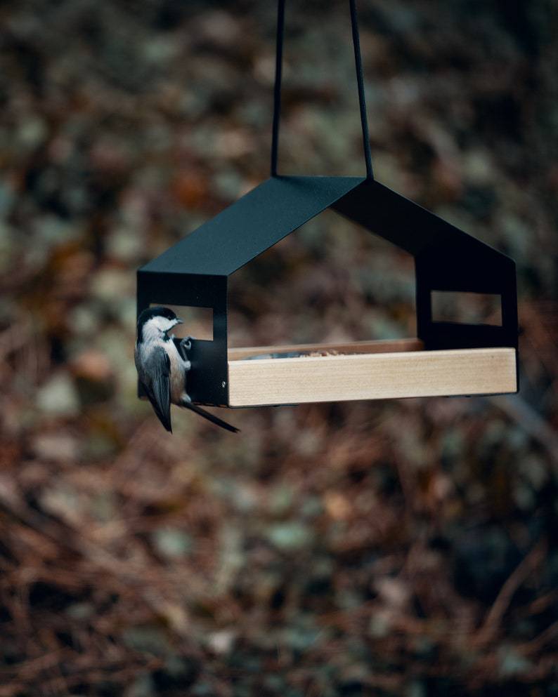 HKM-595475 Stylish Black Metal Hanging Bird Feeder for Outdoor Garden Decoration