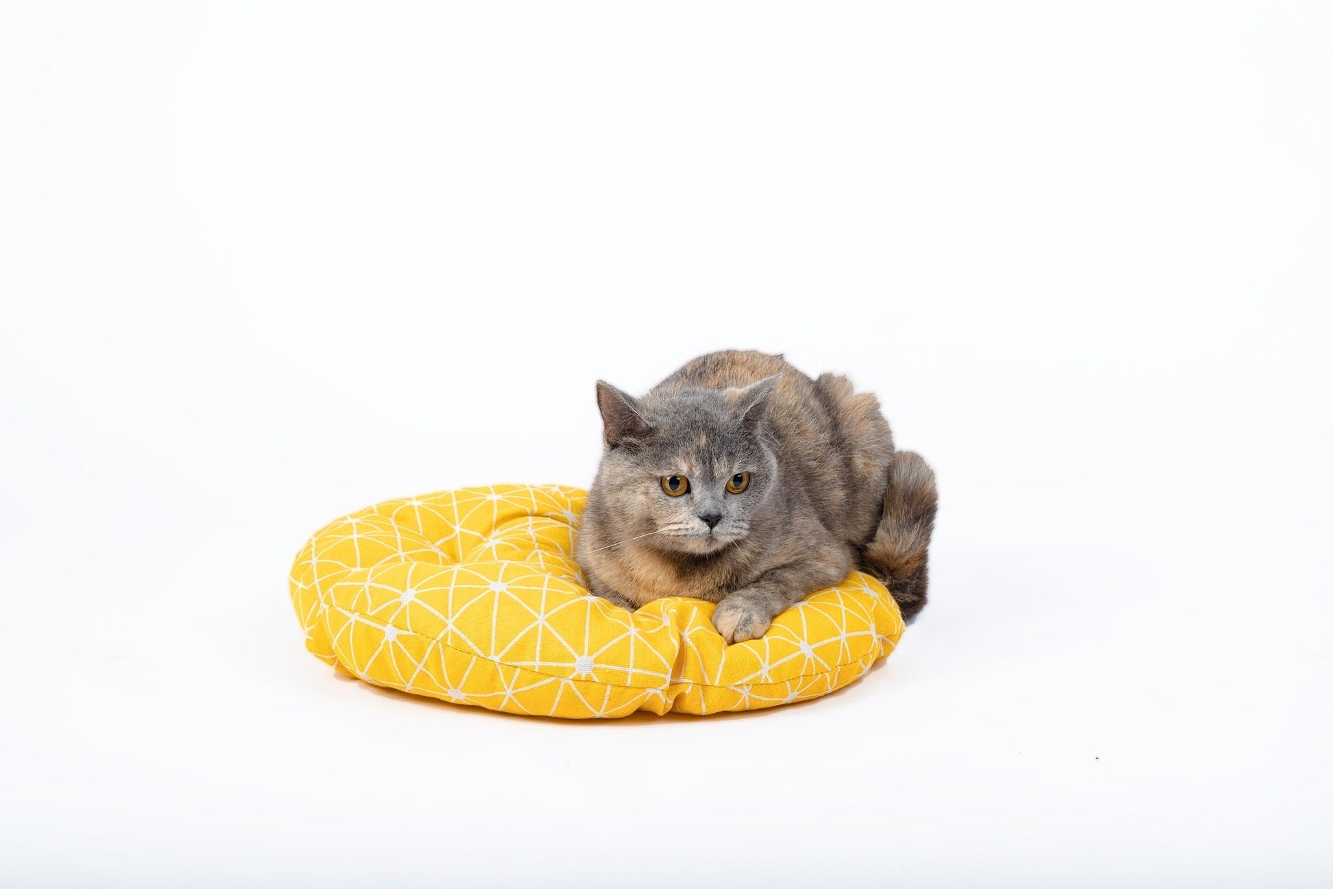 HKM-597075 Woven Round Cat Litter Pet Bed Hanging Basket