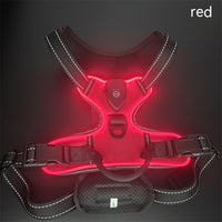 HKM-597715 Adjustable LED Pet Vest for Night Walking - Prevents Accidents for Dogs and Cats