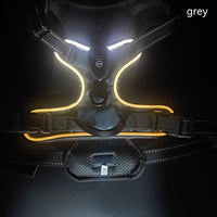 HKM-597715 Adjustable LED Pet Vest for Night Walking - Prevents Accidents for Dogs and Cats