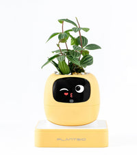 HKM-597715 Smart Plant Care Robot with Automated Watering, Soil Monitoring, and Gesture Interaction - Ideal for Home and Office Decor