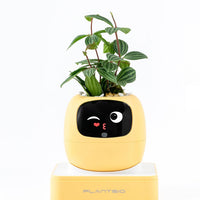 HKM-597715 Smart Plant Care Robot with Automated Watering, Soil Monitoring, and Gesture Interaction - Ideal for Home and Office Decor