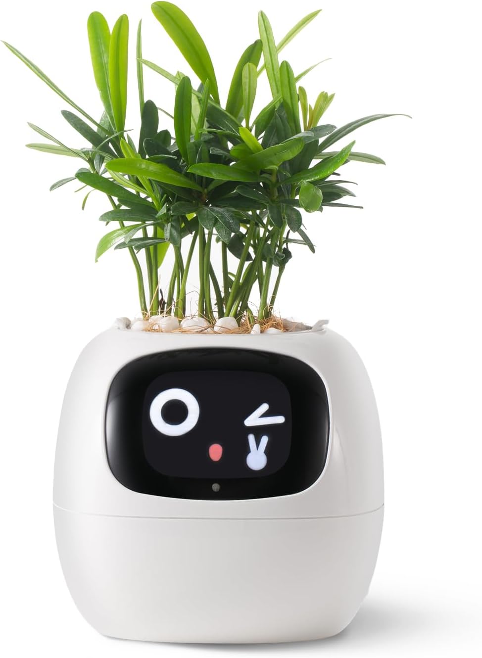 HKM-597715 Smart Plant Care Robot with Automated Watering, Soil Monitoring, and Gesture Interaction - Ideal for Home and Office Decor