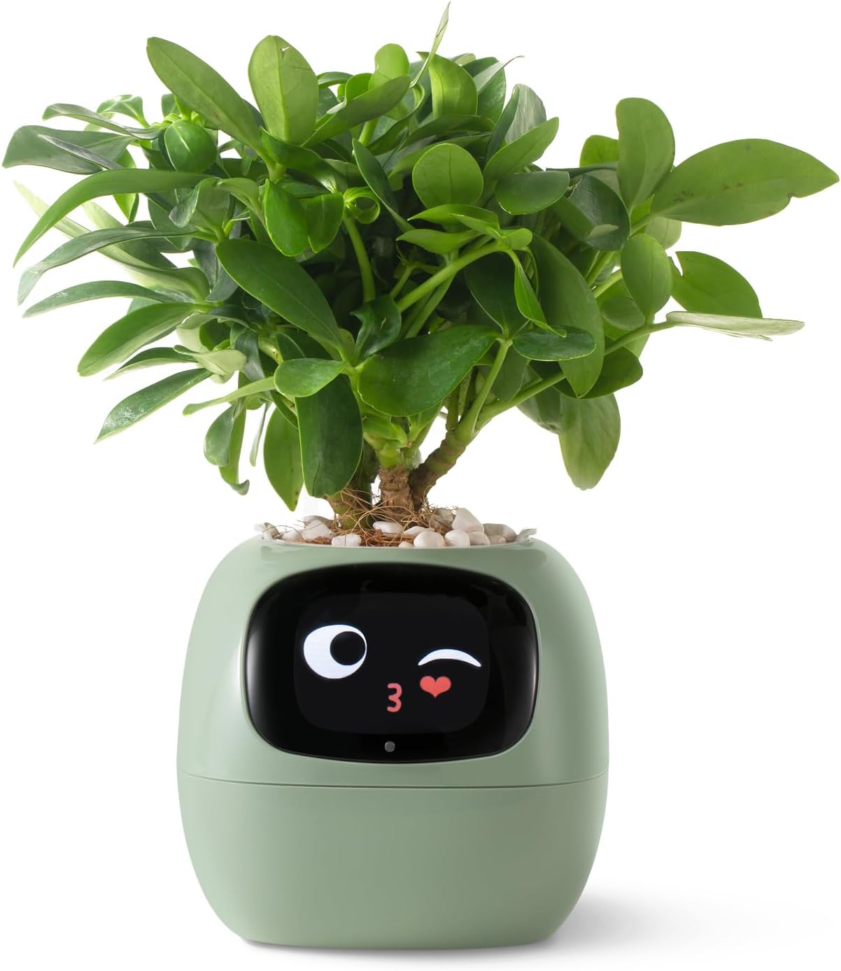 HKM-597715 Smart Plant Care Robot with Automated Watering, Soil Monitoring, and Gesture Interaction - Ideal for Home and Office Decor