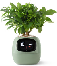 HKM-597715 Smart Plant Care Robot with Automated Watering, Soil Monitoring, and Gesture Interaction - Ideal for Home and Office Decor