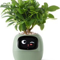 HKM-597715 Smart Plant Care Robot with Automated Watering, Soil Monitoring, and Gesture Interaction - Ideal for Home and Office Decor
