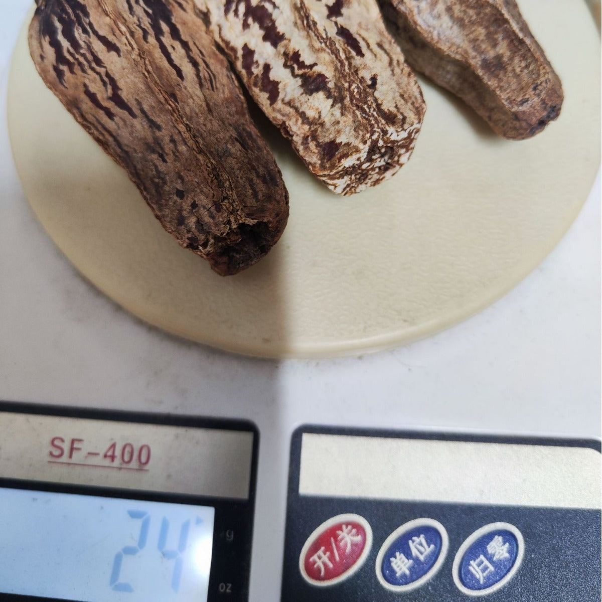 HKM-597971 Dried Carambola Core Toy for Pet Birds - Edible Natural Wooden Chew Accessory