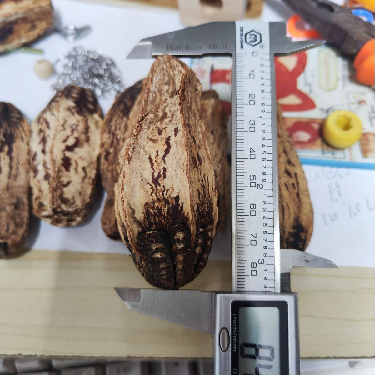 HKM-597971 Dried Carambola Core Toy for Pet Birds - Edible Natural Wooden Chew Accessory
