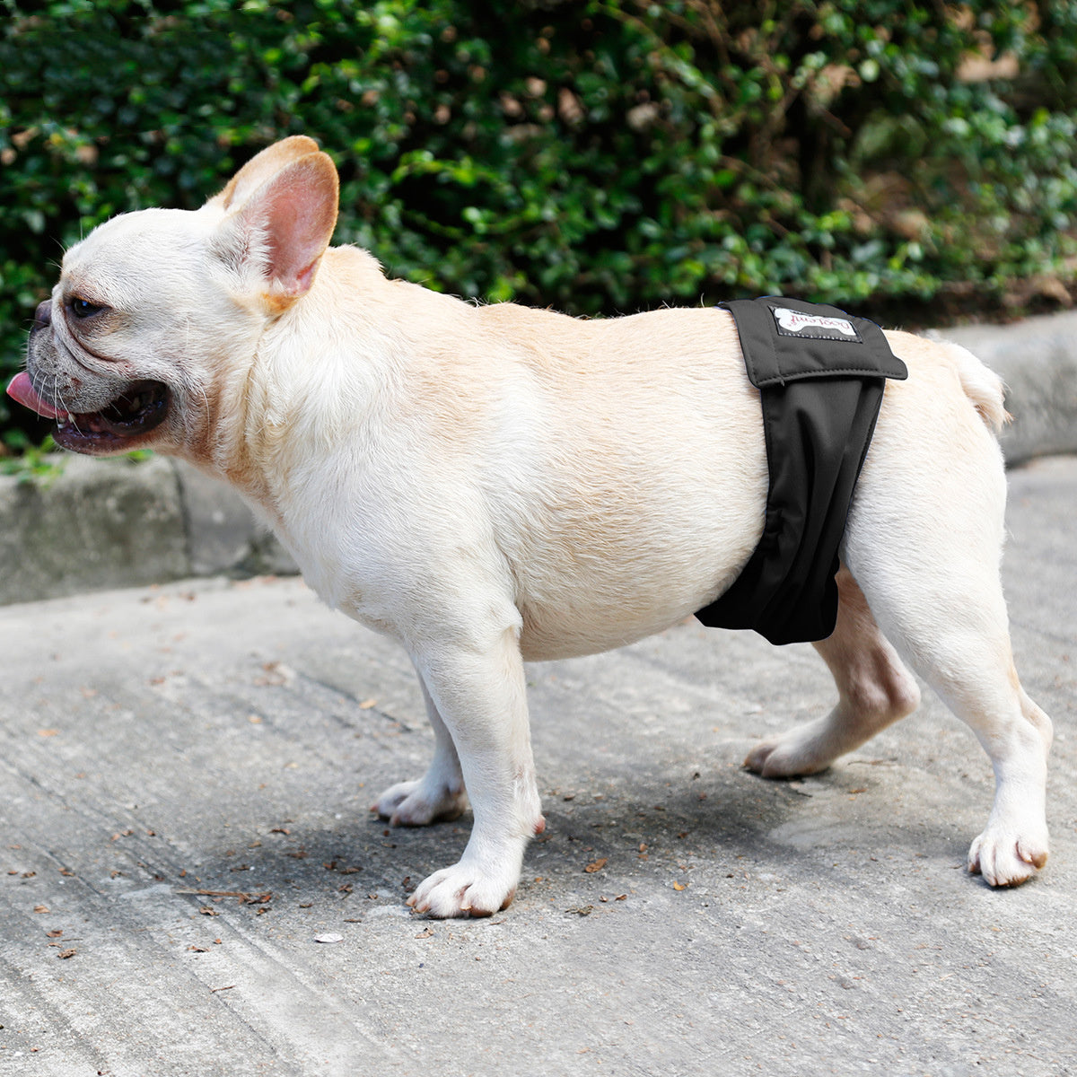HKM-600659 Washable Male Dog Restraint Pants in Multiple Sizes - Black, Beige, Blue
