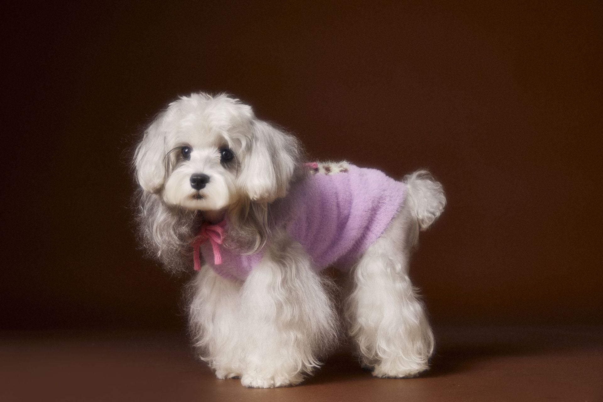 HKM-601619 Hooded Sleeveless Sweater Vest for Pets - Available in Yellow, Green, Purple, Sizes XS to XXL