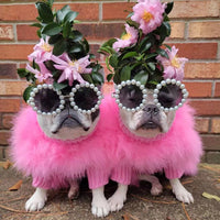 HKM-602707 Cozy Round Neck Sweater for Pets - Autumn and Winter, Available in Blue, Pink, Purple