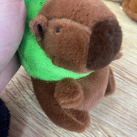 HKM-604115 Kawaii Fluffy Capybara and Tortoise Plush Dolls for Kids' Birthday Gifts and Home Decor