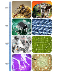 HKM-605011 HD Digital Microscope with 7-Inch Display and 2000x Magnification