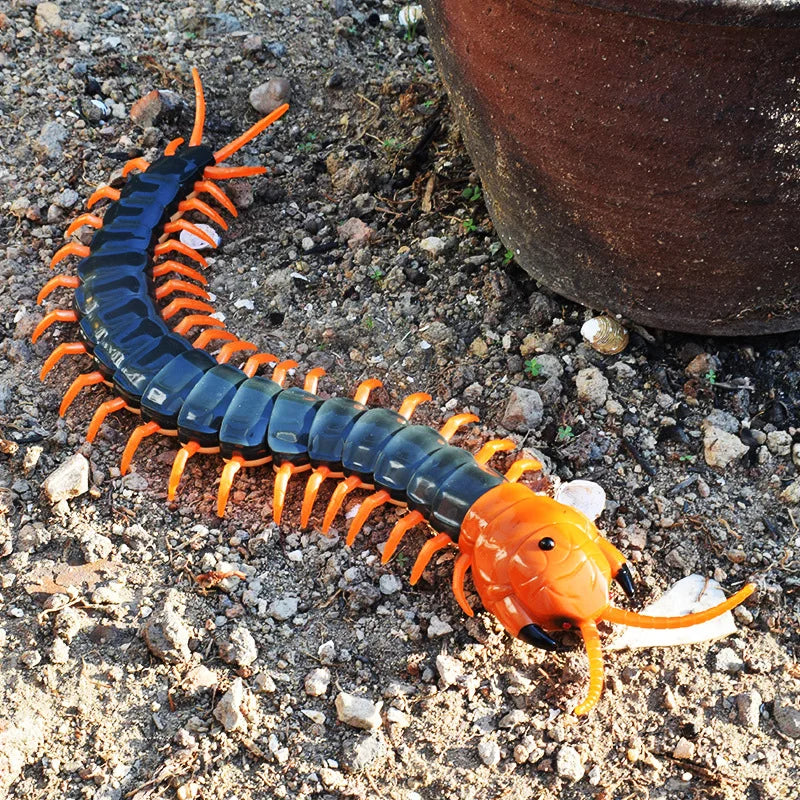 HKM-605011 Remote Control Infrared Centipede Toy for Kids - Electric Crawling Scolopendra Model