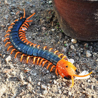 HKM-605011 Remote Control Infrared Centipede Toy for Kids - Electric Crawling Scolopendra Model
