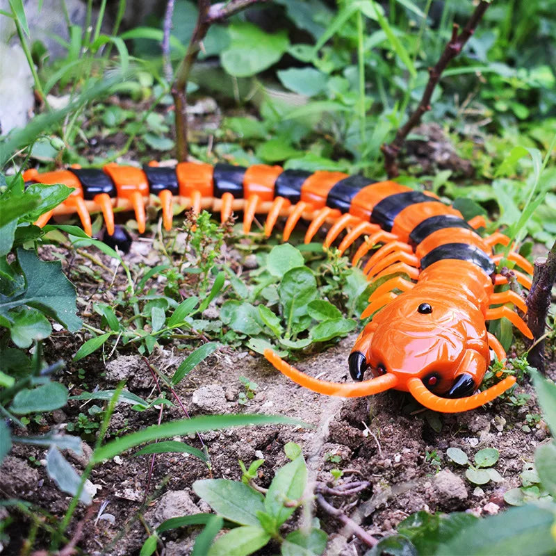 HKM-605011 Remote Control Infrared Centipede Toy for Kids - Electric Crawling Scolopendra Model