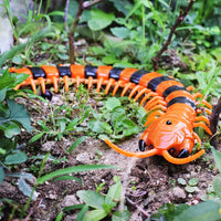 HKM-605011 Remote Control Infrared Centipede Toy for Kids - Electric Crawling Scolopendra Model