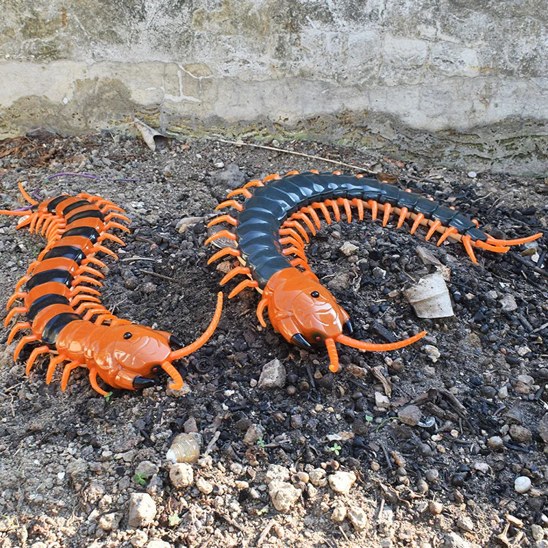 HKM-605011 Remote Control Infrared Centipede Toy for Kids - Electric Crawling Scolopendra Model