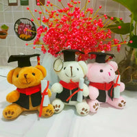HKM-605267 Cute Plush Doctor Bear Graduation Keychain Pendant - Perfect Souvenir for Students