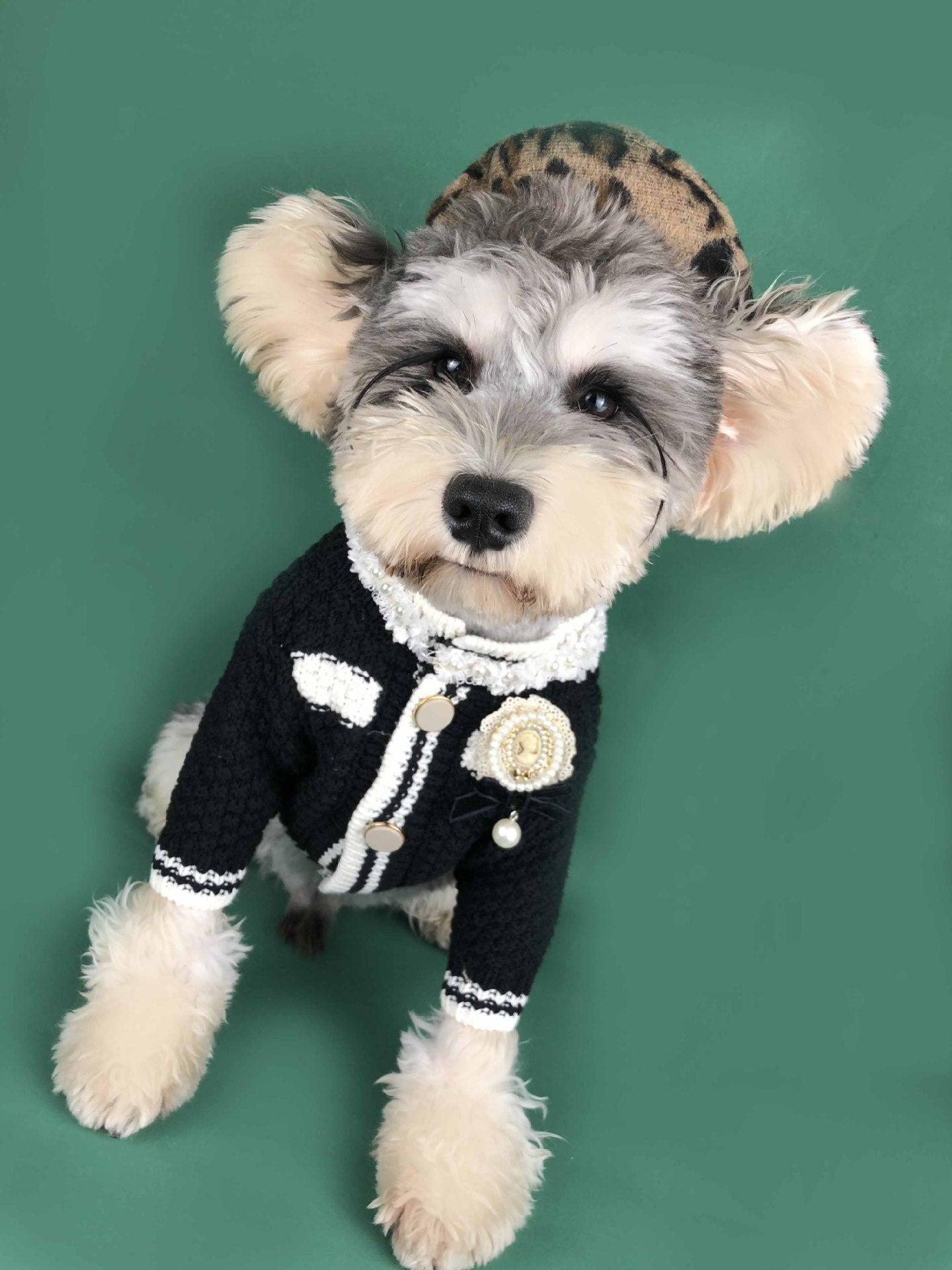 HKM-609619 Cozy Black and White Dog Sweater Cardigan for Small Breeds