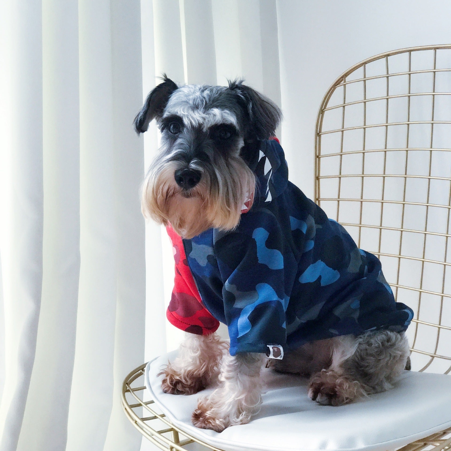 HKM-610643 Cozy Thickened Cotton Dog Sweater for Autumn and Winter