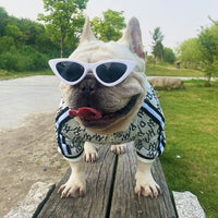 HKM-611987 Stretchy Zip-Up Dog Jacket, Comfortable Pet Clothes in Black and White, Available Sizes XS to 3XL