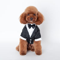 HKM-612947 Wedding Suit Dog Clothes - Cotton Two-Legged Outfit for Male Pets, Available in Multiple Sizes