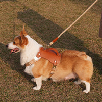 HKM-614675 Outdoor Microfiber Dog Vest with Leash and Tow Rope, Reddish Brown, Multiple Sizes Available