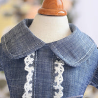 HKM-615059 Pet Denim Summer Dress with Flying Sleeves for Dogs