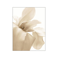 HKM-619091 Canvas Wall Art - Nordic Modern Design with Gold Foil Beach Theme, Oil on Canvas, 0.5cm White Border
