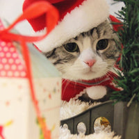 HKM-621395 Small Christmas Pet Tiara with Adjustable Cotton Headbands