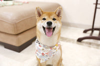 HKM-621715 Japanese Triangle Scarf for Dogs - Soft Cotton & Hemp Fabric, Comfortable PU Leather Collar