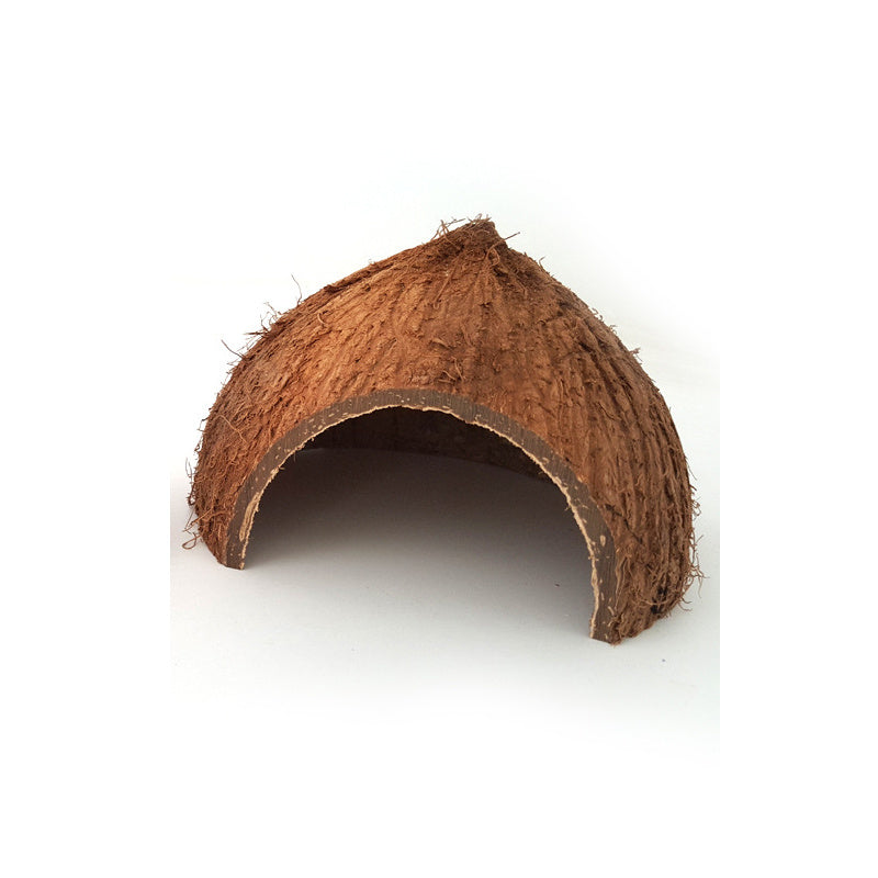 HKM-622483 Natural Coconut Shell Hideout for Turtles, Scorpions, and Lizards - 12-14 cm Diameter