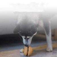 HKM-626451 Pet Dog Toy Ball Bite-resistant Teeth Cleaning
