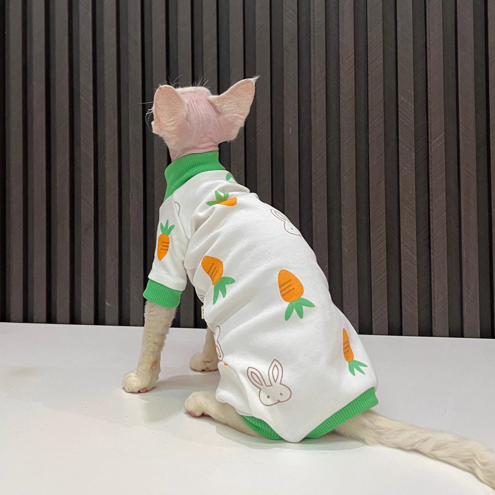 HKM-627795 All-Season Hairless Cat Anti-Lint Sleeved Clothing in Carrot and Cherry Colors