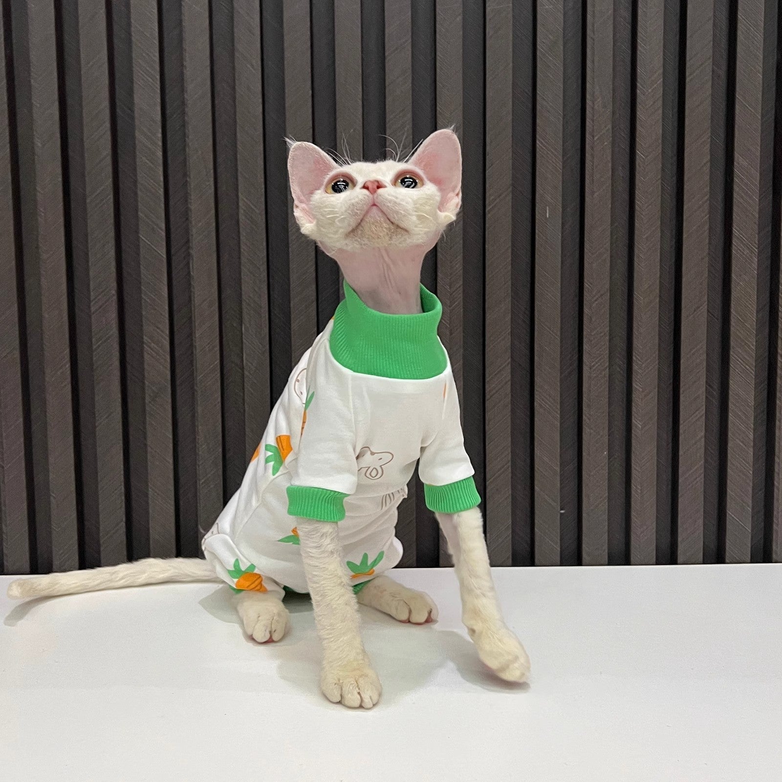 HKM-627795 All-Season Hairless Cat Anti-Lint Sleeved Clothing in Carrot and Cherry Colors