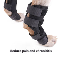 HKM-628819 Knee Protector for Pet Surgery Recovery - Breathable Fabric, Sizes S to XL